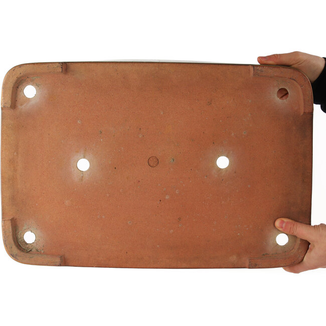 Rechteckiger beiger Bonsaitopf von Reiho - 465 x 315 x 60 mm