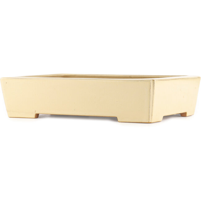 Maceta rectangular beige para bonsái de Reiho - 345 x 245 x 80 mm
