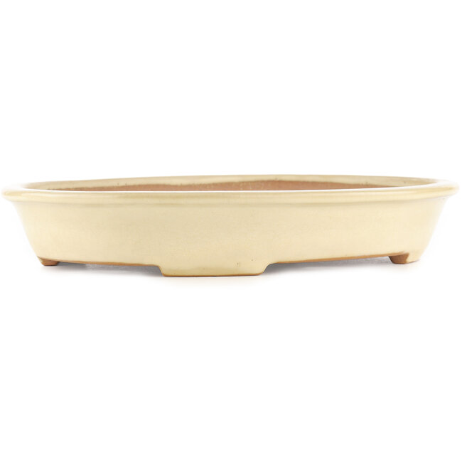 Oval beige  bonsai pot by Yamafusa - 340 x 270 x 50 mm