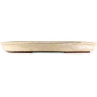  Yamaaki Vaso bonsai ovale bianco sporco da 555 mm di Yamaaki, Tokoname, Giappone