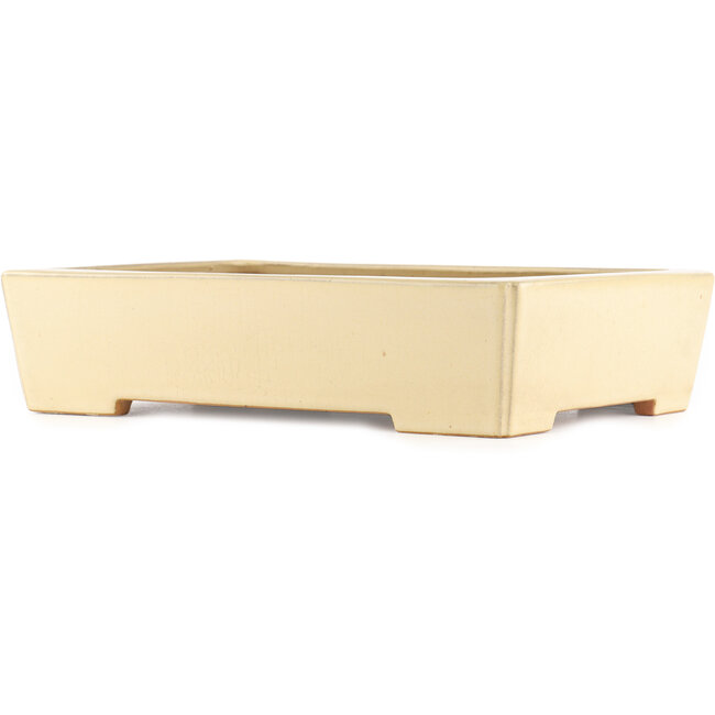 Maceta rectangular beige para bonsái de Reiho - 345 x 245 x 80 mm