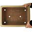 Maceta rectangular beige para bonsái de Reiho - 345 x 245 x 80 mm