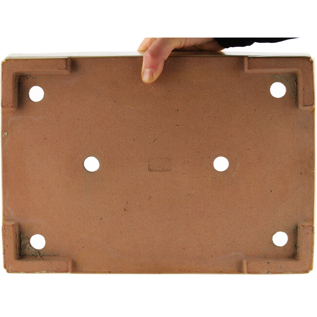 Maceta rectangular beige para bonsái de Reiho - 345 x 245 x 80 mm