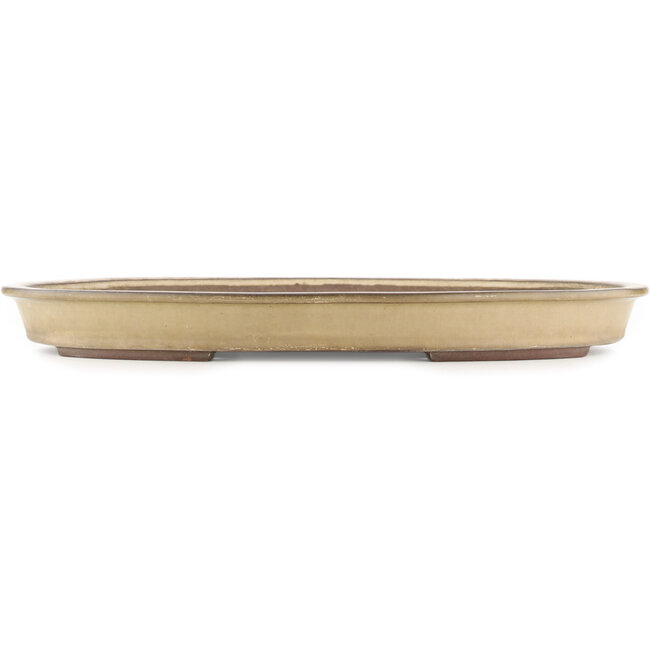 Oval beige  bonsai pot by Yamaaki - 535 x 365 x 50 mm