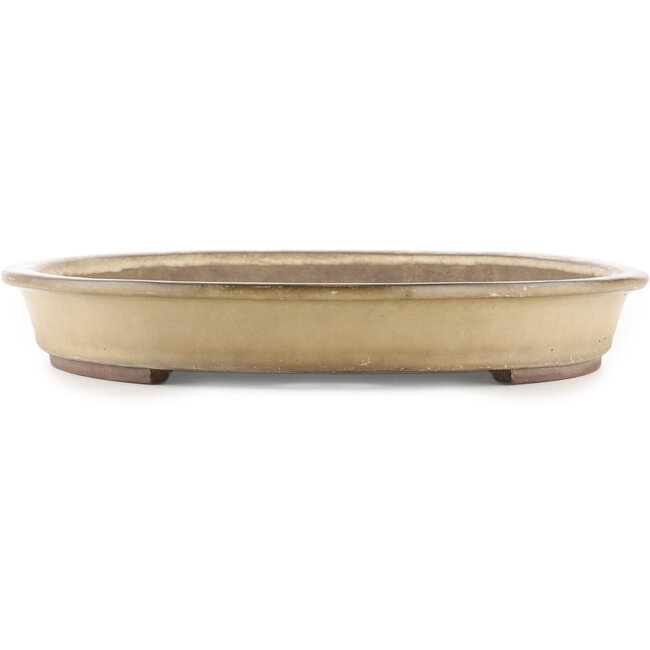 Pot à bonsaï ovale beige de Yamaaki - 535 x 365 x 50 mm