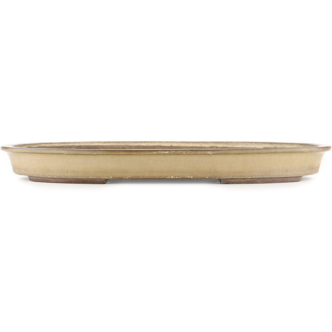 Maceta ovalada beige para bonsái de Yamaaki - 535 x 365 x 50 mm