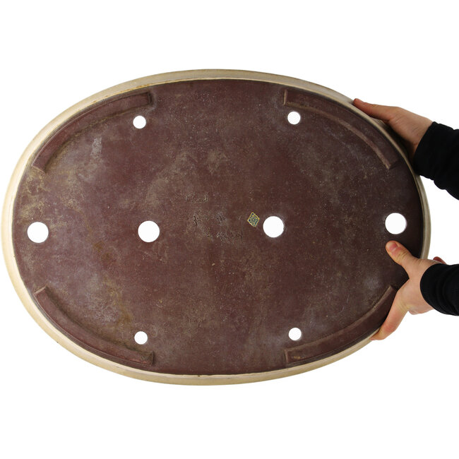 Pot à bonsaï ovale blanc cassé de Yamaaki - 555 x 405 x 50 mm