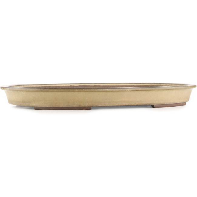 Oval beige  bonsai pot by Yamaaki - 535 x 365 x 50 mm