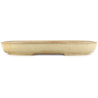 Yamafusa - Takehiko Koie 460 mm oval beige  bonsai pot by Yamafusa, Tokoname, Japan