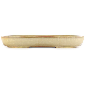  Yamafusa - Takehiko Koie Maceta ovalada de color beige para bonsái de 460 mm de Yamafusa, Tokoname, Japón