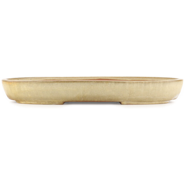 Oval beige  bonsai pot by Yamafusa - 460 x 325 x 55 mm