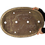 Maceta ovalada beige para bonsái de Yamaaki - 535 x 365 x 50 mm