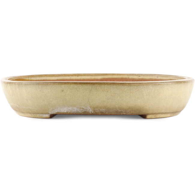 Vaso bonsai ovale beige di Yamafusa - 460 x 325 x 55 mm