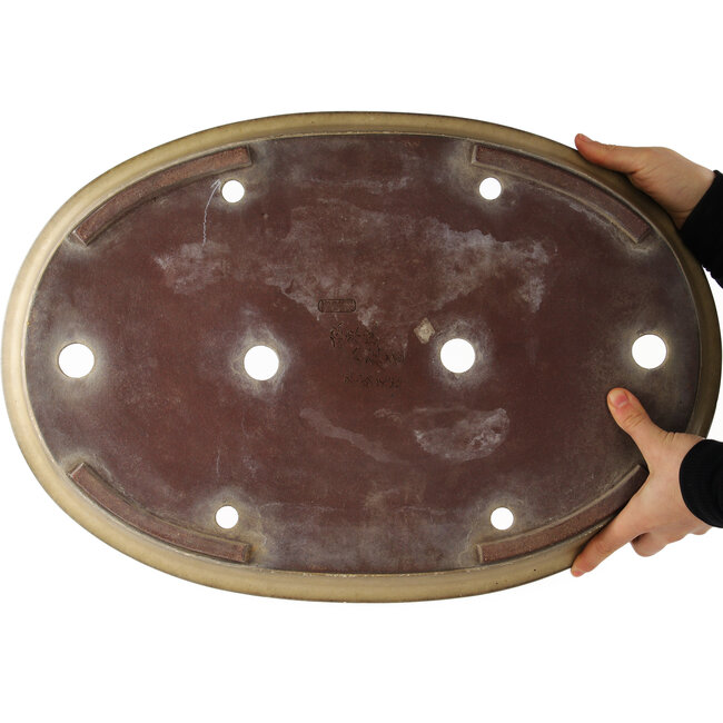 Maceta ovalada beige para bonsái de Yamaaki - 535 x 365 x 50 mm