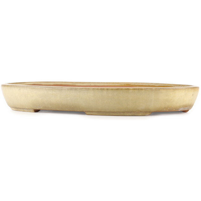 Oval beige  bonsai pot by Yamafusa - 460 x 325 x 55 mm