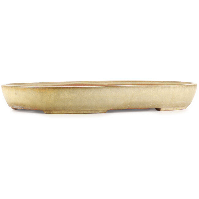 Vaso bonsai ovale beige di Yamafusa - 460 x 325 x 55 mm
