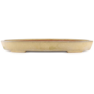 Reihou (Bonsai Matsushita Hiroyuki or Mr.MATSUSHITA Reiji    Master) 380 mm oval beige  bonsai pot by Reiho, Tokoname, Japan