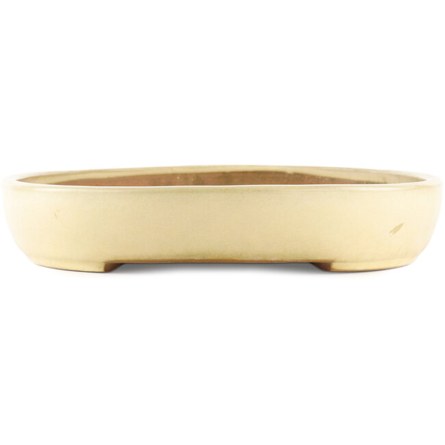 Pot à bonsaï ovale beige de Yamafusa - 460 x 320 x 55 mm