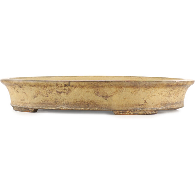Oval beige  bonsai pot by Reiho - 385 x 290 x 60 mm