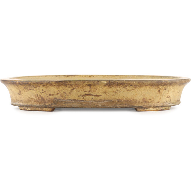 Pot à bonsaï ovale beige de Reiho - 385 x 290 x 60 mm
