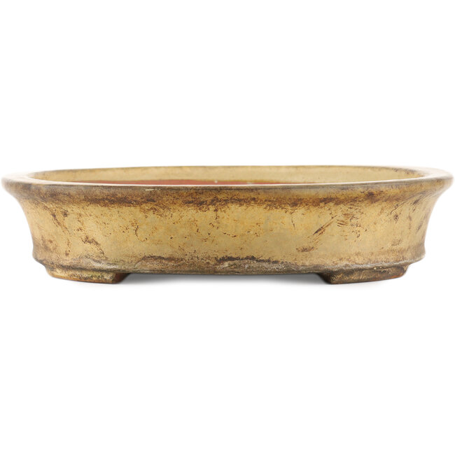 Oval beige  bonsai pot by Reiho - 385 x 290 x 60 mm