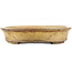 Oval beige  bonsai pot by Reiho - 385 x 290 x 60 mm