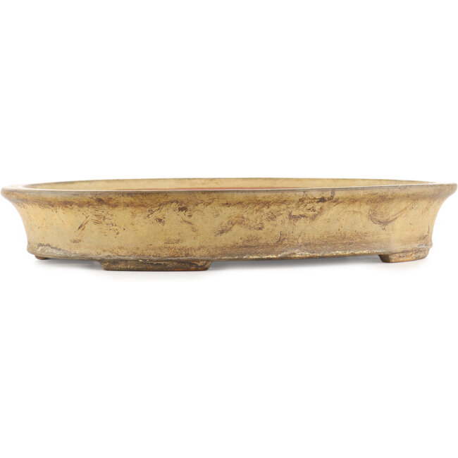 Maceta ovalada beige para bonsái de Reiho - 385 x 290 x 60 mm