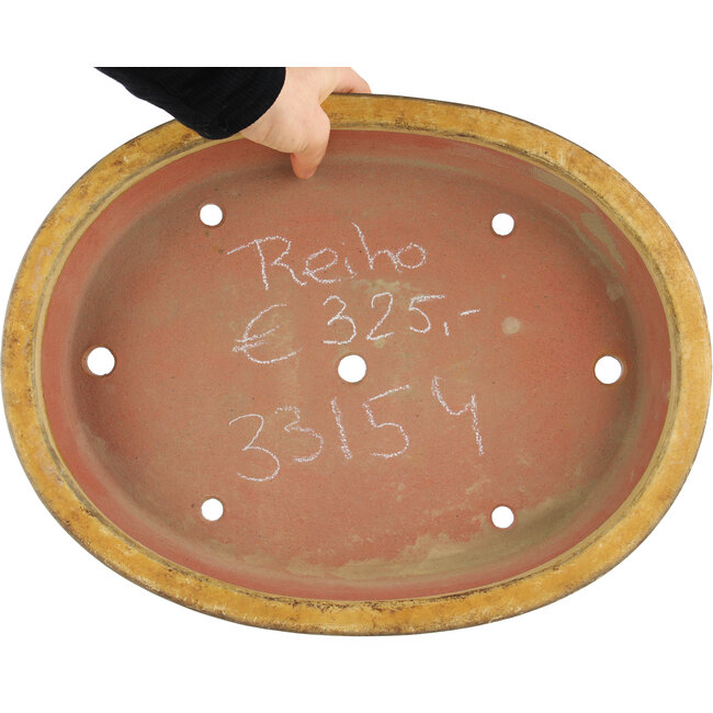 Maceta ovalada beige para bonsái de Reiho - 385 x 290 x 60 mm