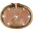 Vaso bonsai ovale beige di Reiho - 385 x 290 x 60 mm