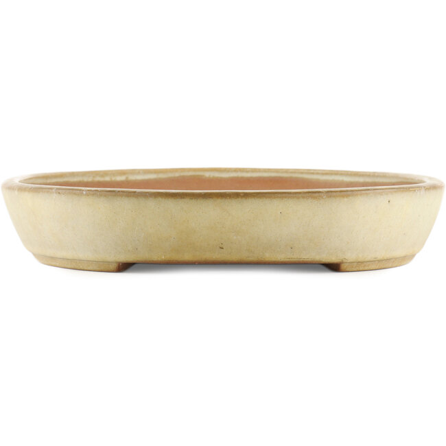 Vaso bonsai ovale beige di Yamafusa - 460 x 330 x 55 mm