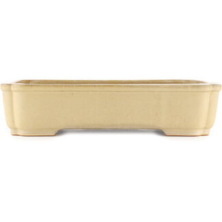 Reihou (Bonsai Matsushita Hiroyuki or Mr.MATSUSHITA Reiji    Master) 410 mm rectangular beige  bonsai pot by Reiho, Tokoname, Japan