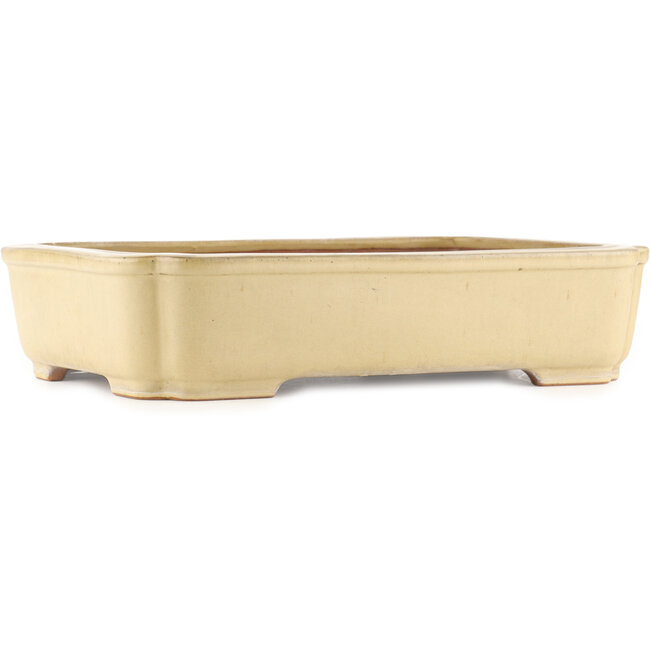 Pot à bonsaï rectangulaire beige de Reiho - 410 x 310 x 90 mm