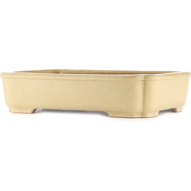 Maceta rectangular beige para bonsái de Reiho - 410 x 310 x 90 mm