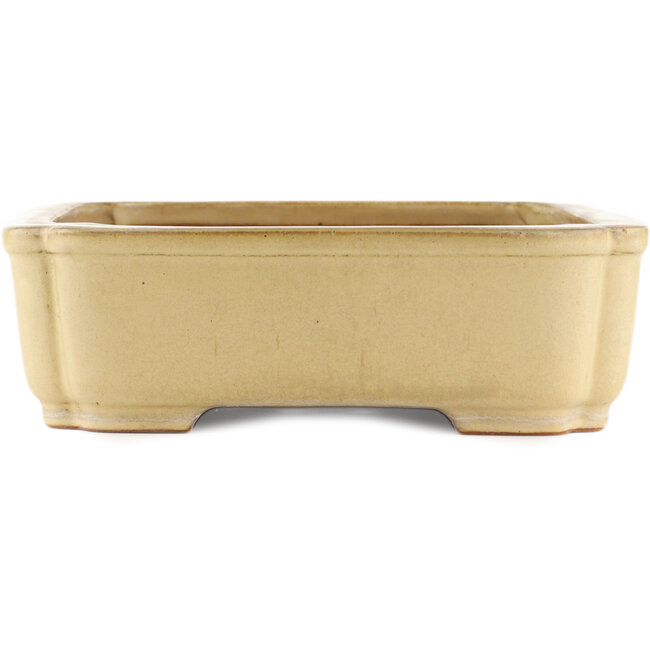 Vaso bonsai rettangolare beige di Reiho - 410 x 310 x 90 mm