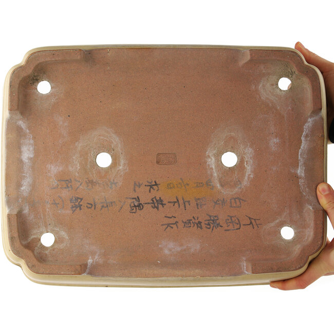 Vaso bonsai rettangolare beige di Reiho - 410 x 310 x 90 mm