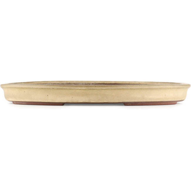 Oval beige  bonsai pot by Yamaaki - 480 x 350 x 50 mm