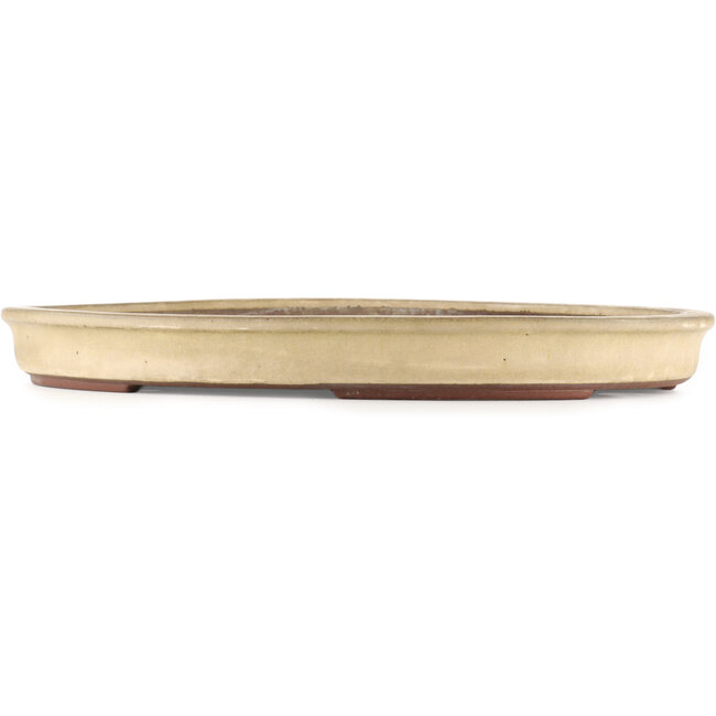 Oval beige  bonsai pot by Yamaaki - 480 x 350 x 50 mm