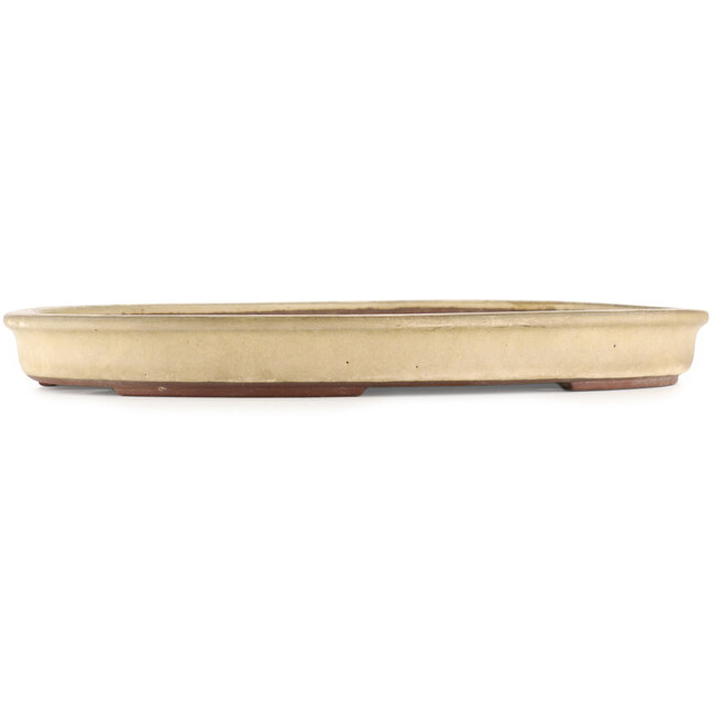Ovale beige bonsai pot van Yamaaki - 480 x 350 x 50 mm