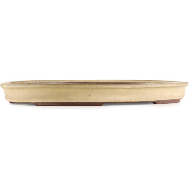 Pot à bonsaï ovale beige de Yamaaki - 480 x 350 x 50 mm