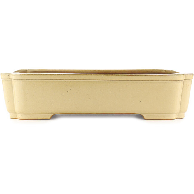 Maceta rectangular beige para bonsái de Reiho - 470 x 350 x 110 mm