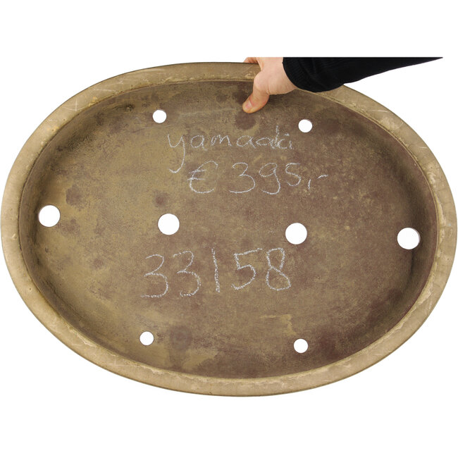 Maceta ovalada beige para bonsái de Yamaaki - 480 x 350 x 50 mm