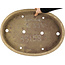 Pot à bonsaï ovale beige de Yamaaki - 480 x 350 x 50 mm