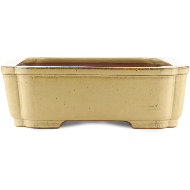 Rectangular beige  bonsai pot by Reiho - 470 x 350 x 110 mm