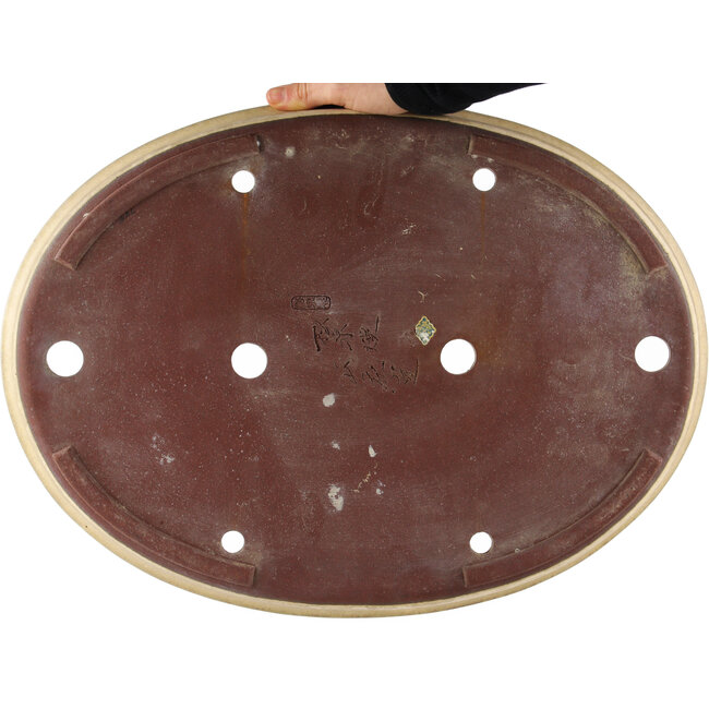 Pot à bonsaï ovale beige de Yamaaki - 480 x 350 x 50 mm