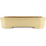 Maceta rectangular beige para bonsái de Reiho - 470 x 350 x 110 mm