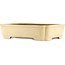 Maceta rectangular beige para bonsái de Reiho - 470 x 350 x 110 mm