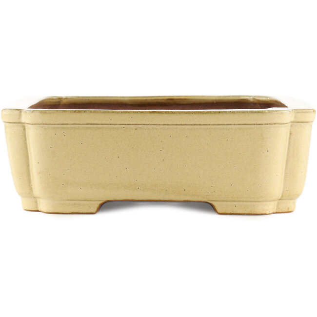 Maceta rectangular beige para bonsái de Reiho - 470 x 350 x 110 mm