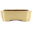Maceta rectangular beige para bonsái de Reiho - 470 x 350 x 110 mm