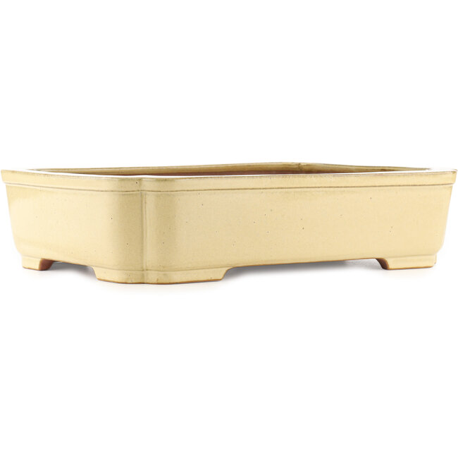 Maceta rectangular beige para bonsái de Reiho - 470 x 350 x 110 mm