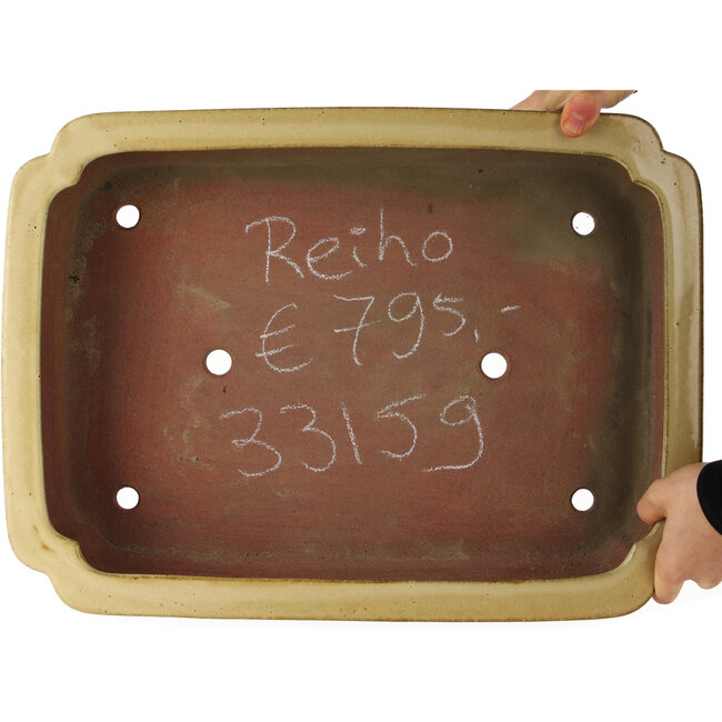 Pot à bonsaï rectangulaire beige de Reiho - 470 x 350 x 110 mm